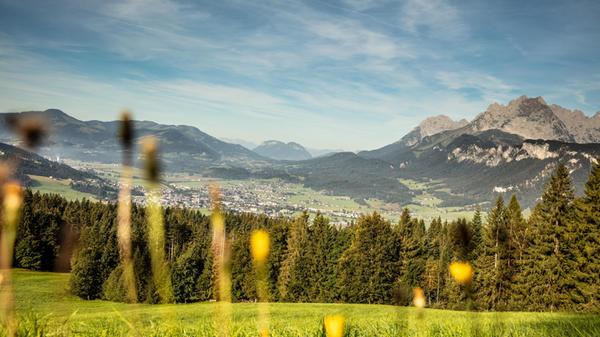 Sommer Landschaften (c) Mirja Geh (1)