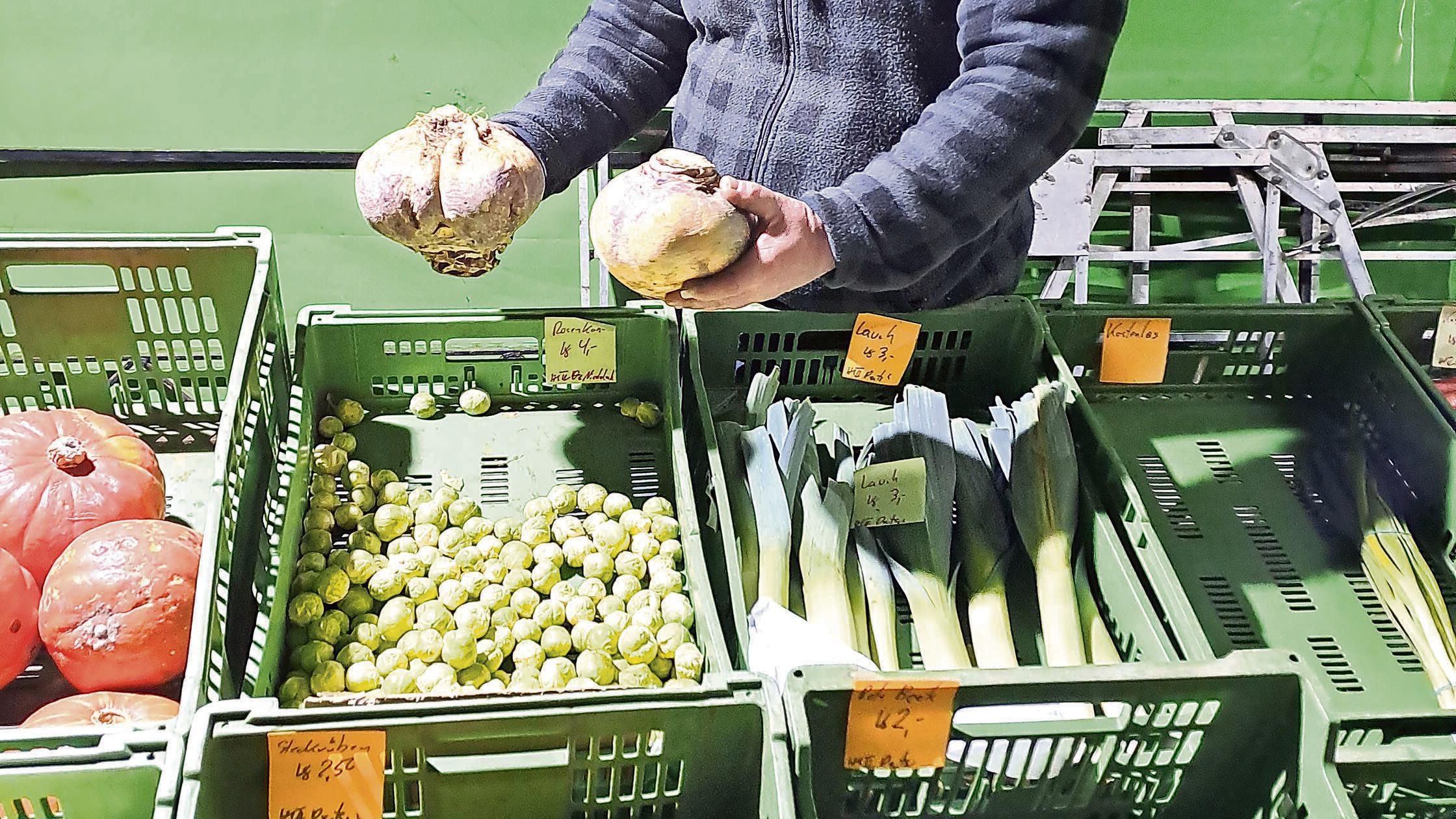 Vor-80-Jahren-ein-wichtiges-Winteressen-Landwirt-aus-H-ttingen-ber-die-Steckr-be