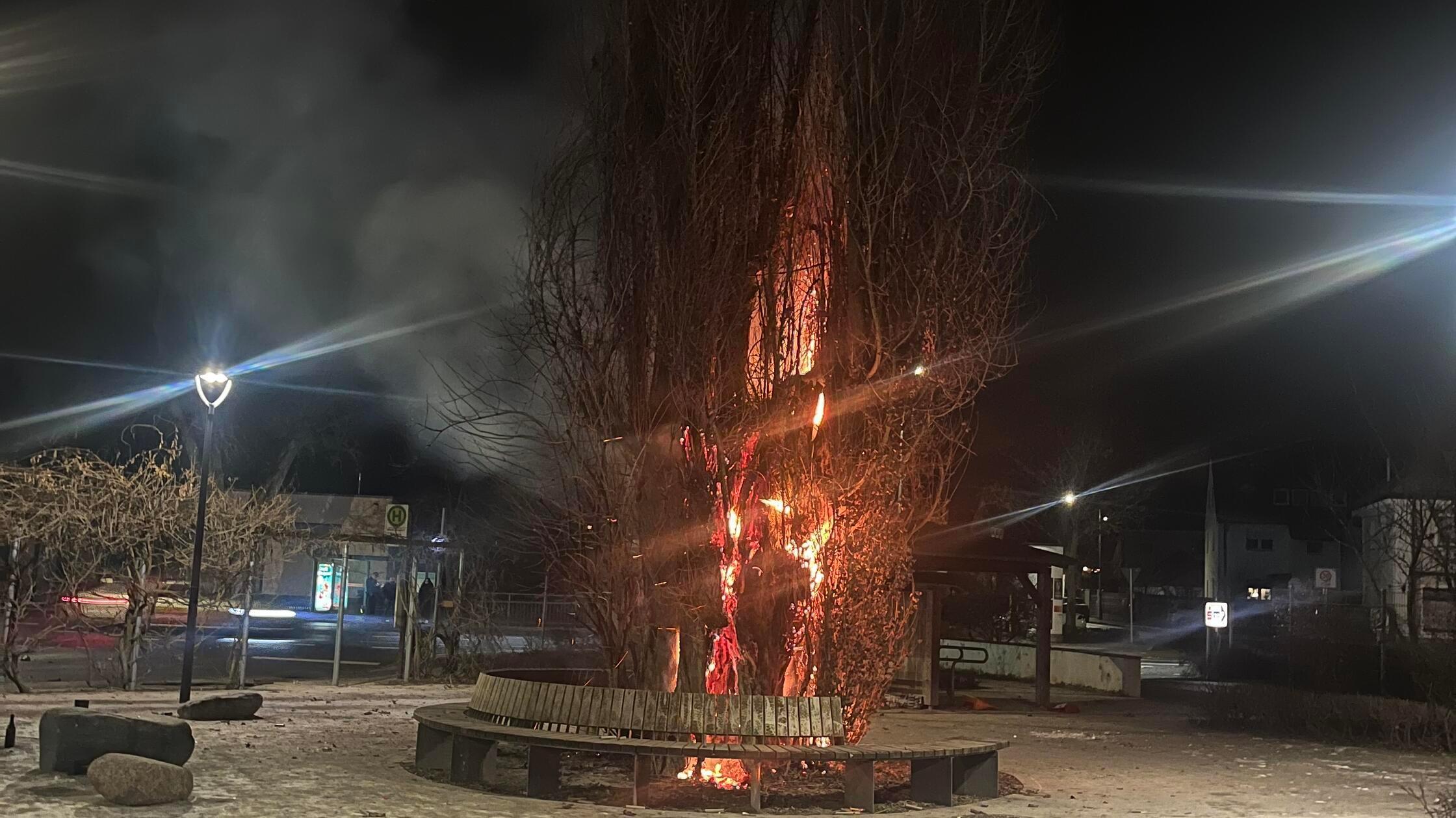 Pr-gender-Baum-in-Schwabach-Wolkersdorf-brannte-an-Silvester-ab-Wie-es-nun-weiter-geht