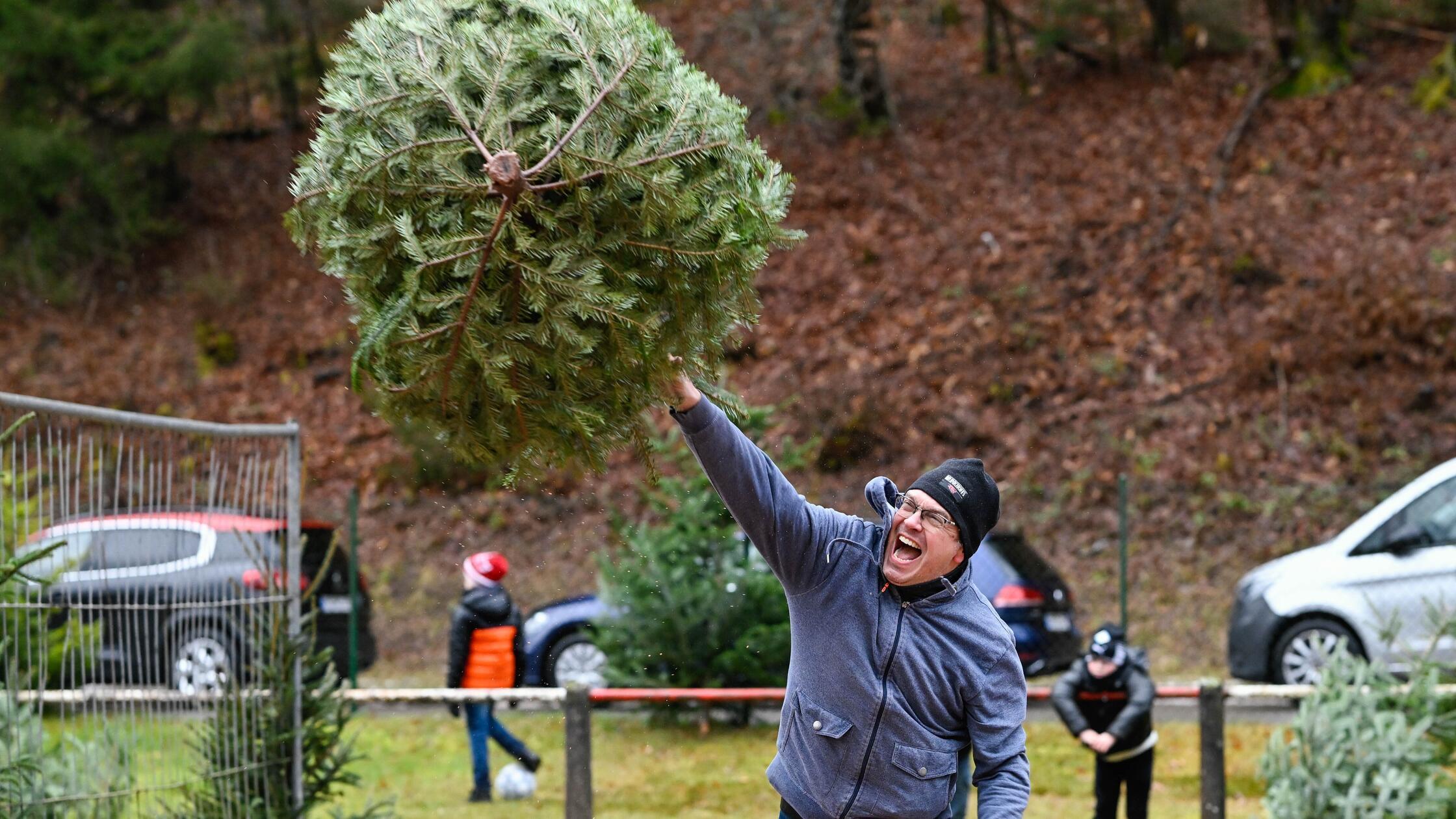 Baum-fliegt-Beim-FSV-Oberferrieden-steigt-die-erste-Weihnachtsbaumwurf-Meisterschaft