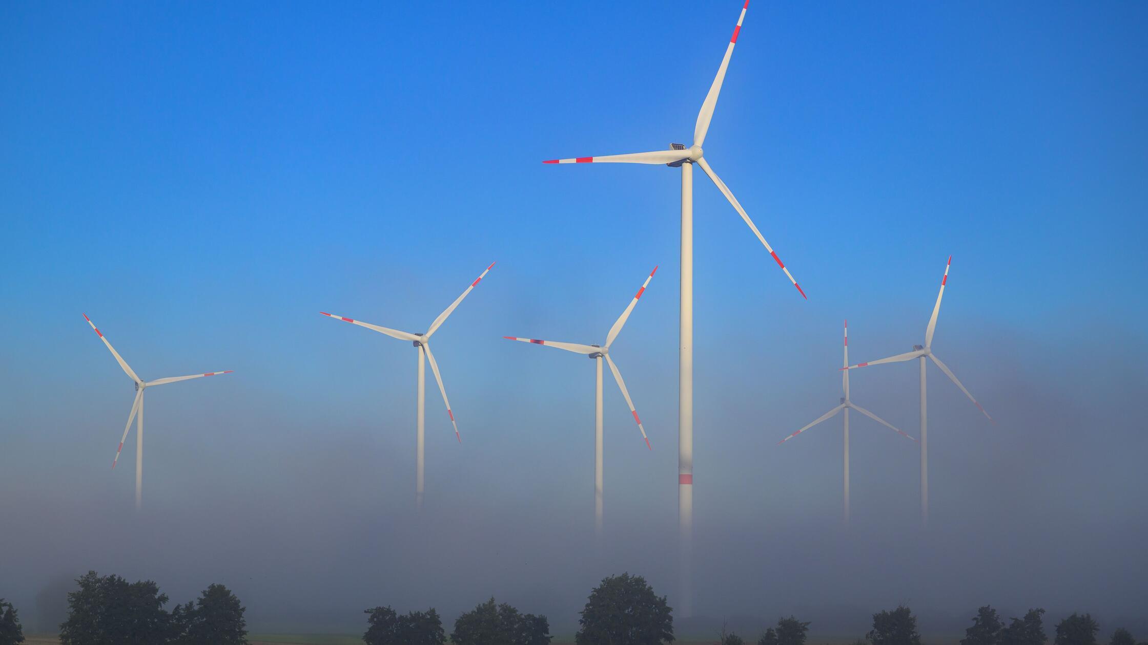 Nur-vier-Windr-der-f-r-Seubersdorf-Firma-Primus-will-neuen-Windpark-Wasserstein-erweitern
