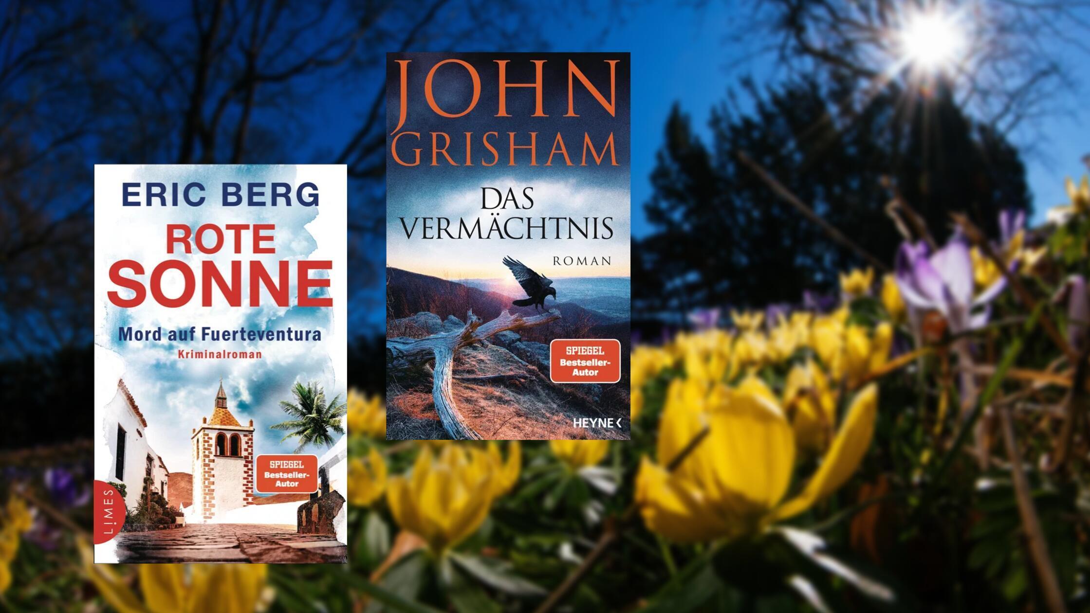 2026-01-21_13-57_collage