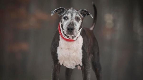 617618582_1315256310647137_452682708999457346_n