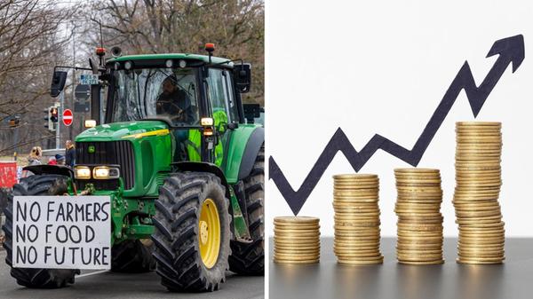 2026-01-21_12-17_collage