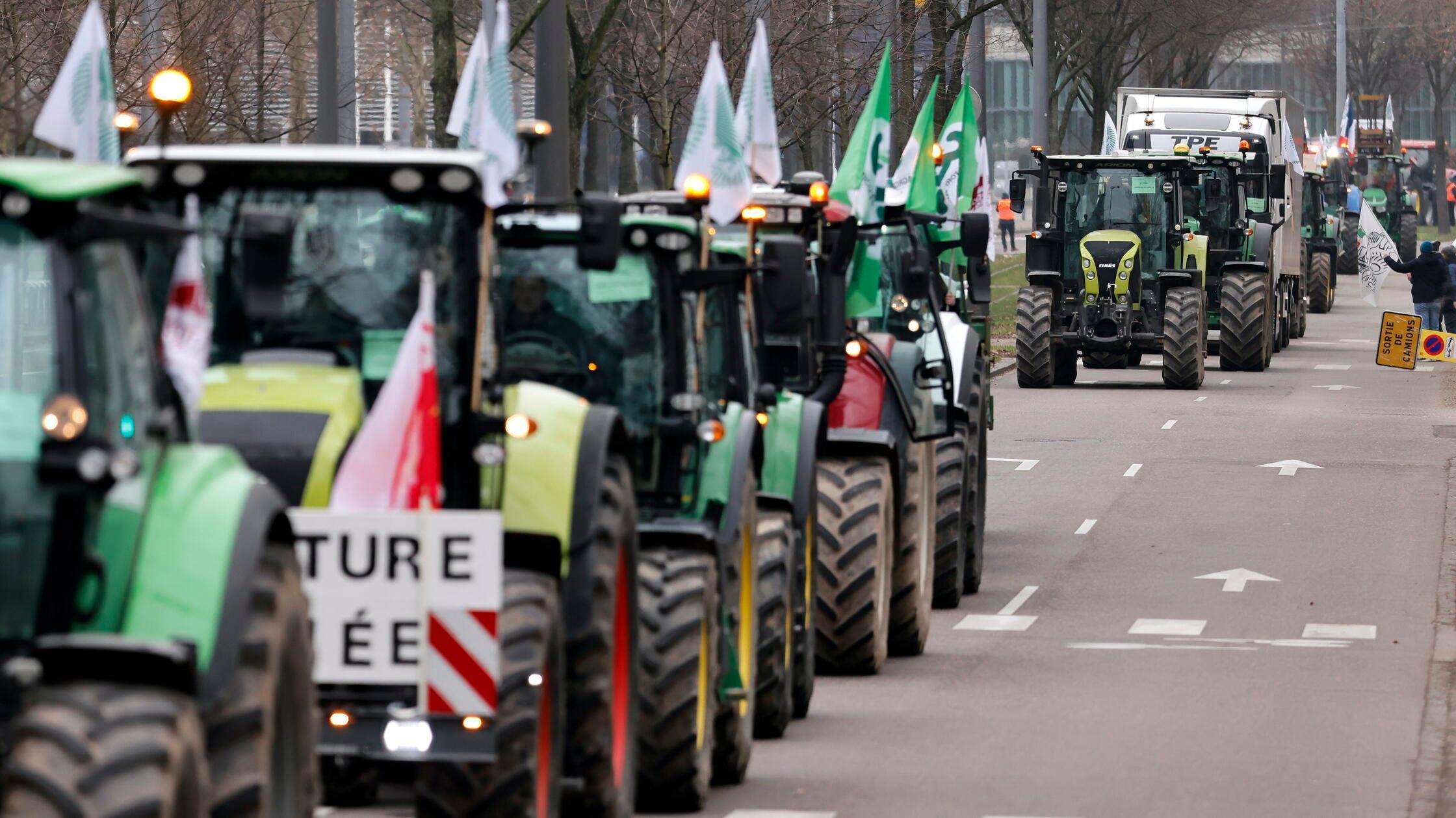 Die-Gr-nen-verspielen-ohne-Not-ihren-moralischen-Anspruch-und-gef-hrden-nebenbei-Europa