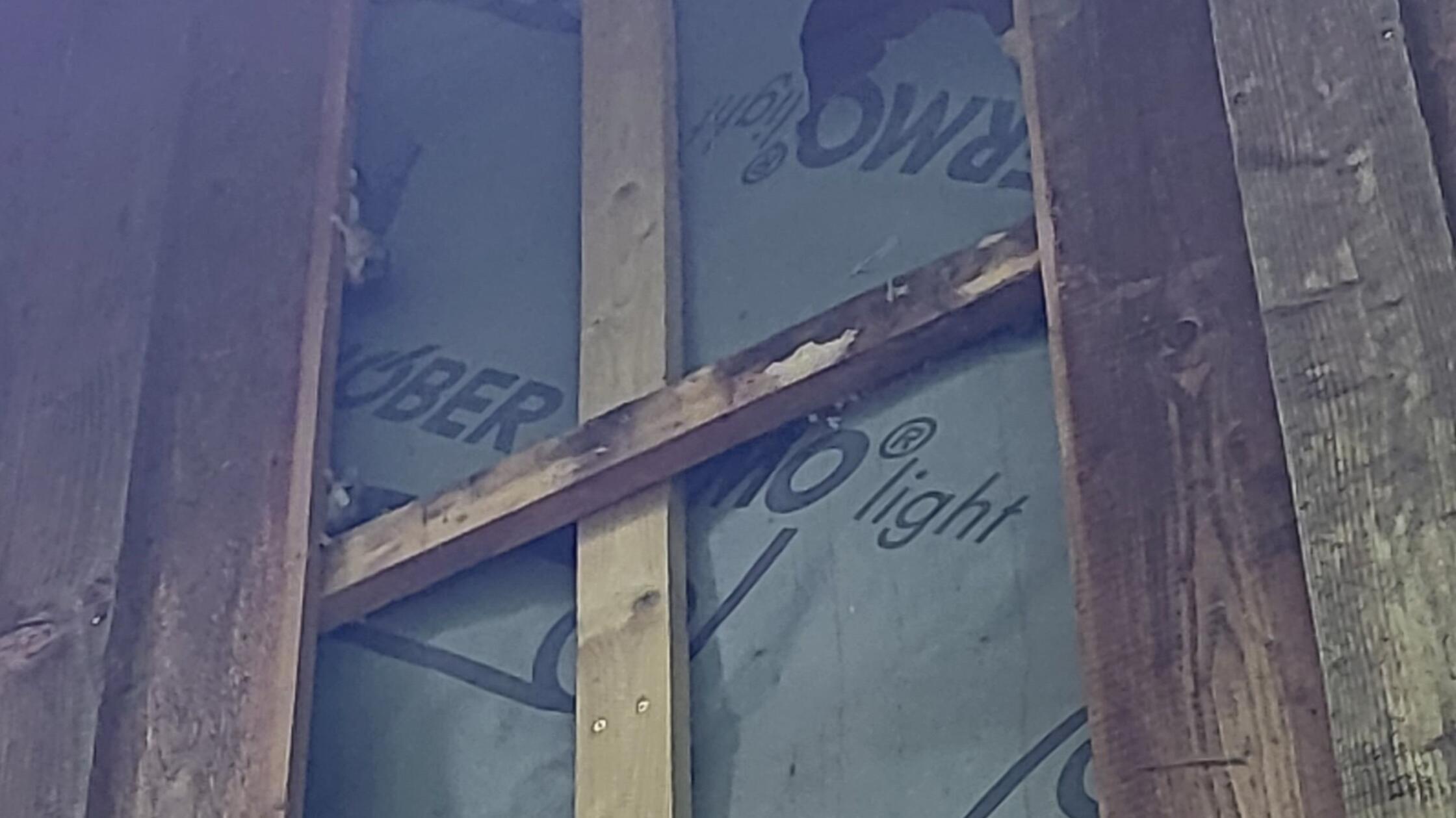 Sanierung-am-Hochbeh-lter-Leutenbach-n-tig-Dutzende-Siebenschl-fer-besch-digen-Anlage