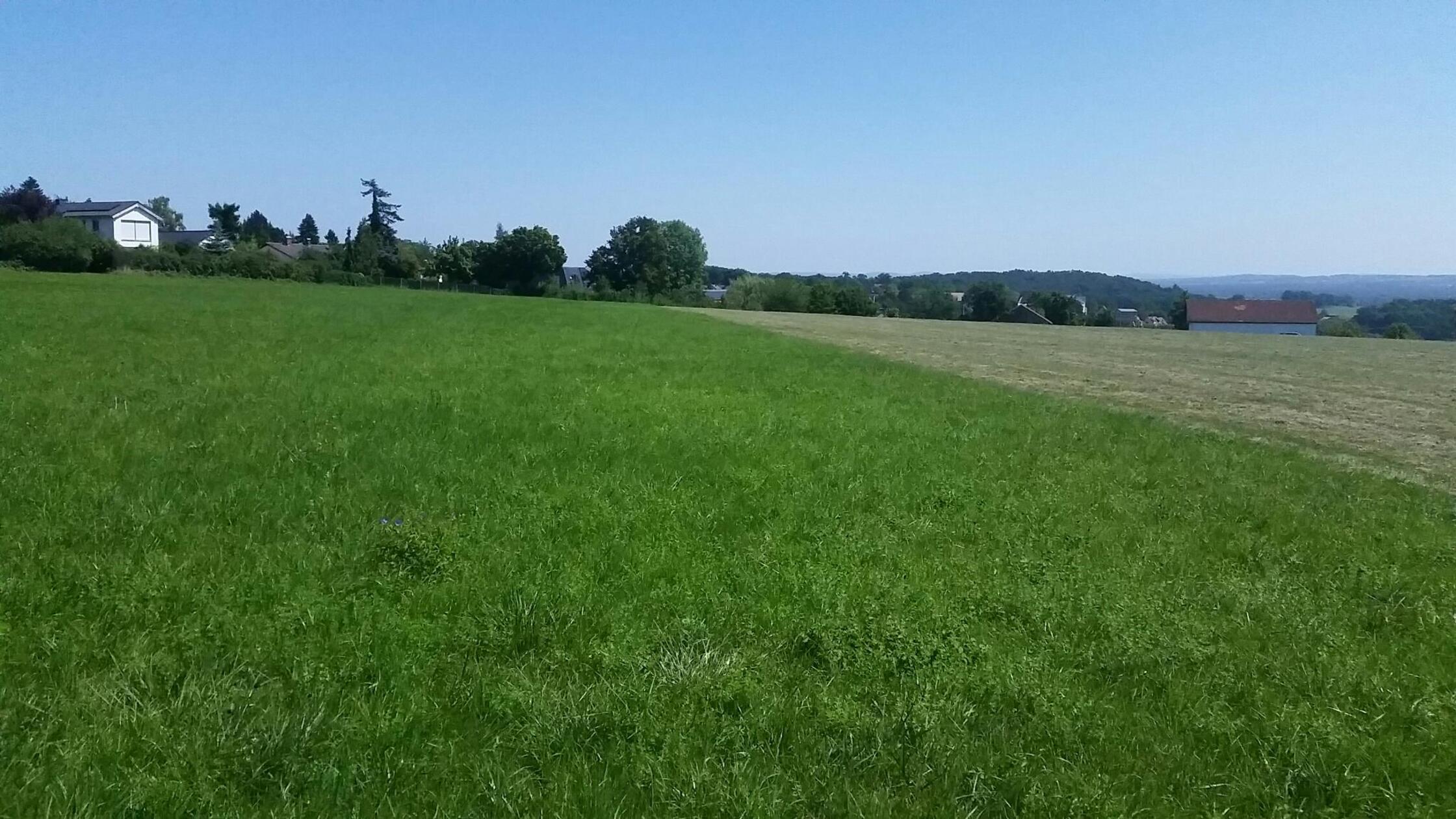 Ob der Hackerberg am südöstlichen Rand Marloffstei