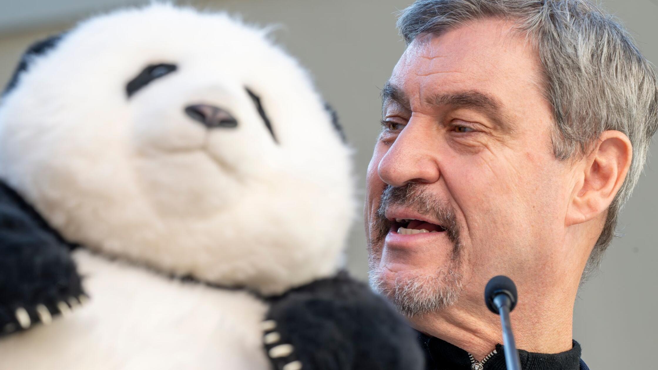 S-der-im-Interview-Schon-immer-habe-ich-daf-r-gearbeitet-dass-N-rnberg-st-rker-wird-