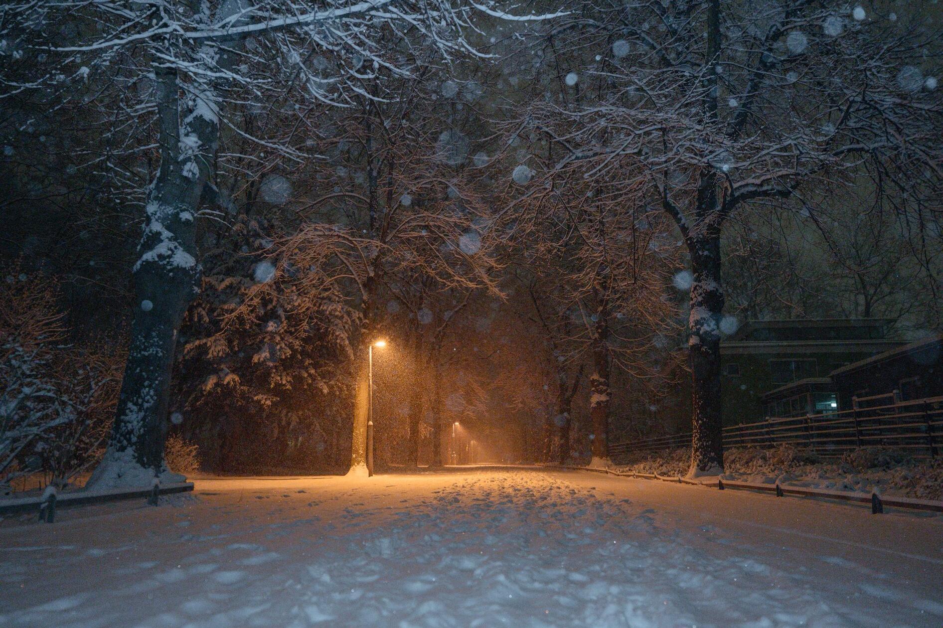 Schöne Motive und reichlich Arbeit auf den Straßen: Viel Neuschnee ist in den Abendstunden in Fürth gefallen.