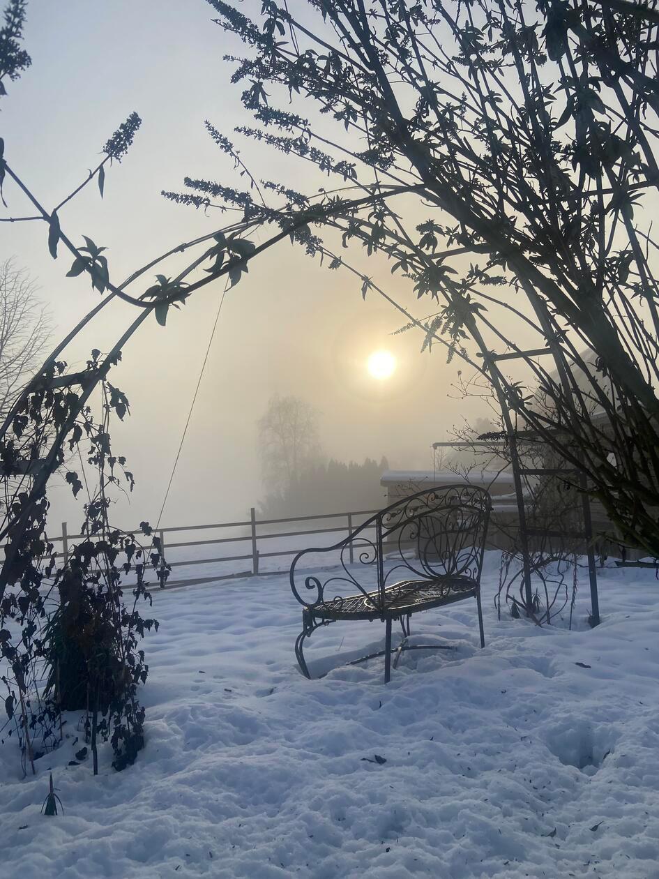 Die Sonne kämpft sich durch den Spalter Nebel. Brigitte Wolf hat dieses Foto auf ihrem Grundstück in der Hopfenstadt gemacht.