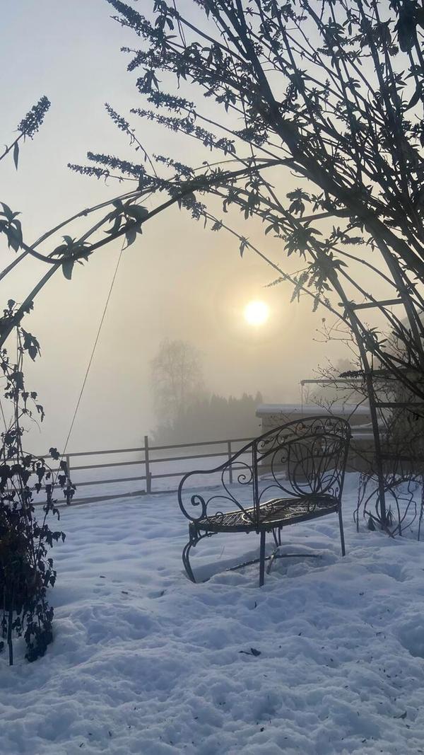 Die Sonne kämpft sich durch den Spalter Nebel. Brigitte Wolf hat dieses Foto auf ihrem Grundstück in der Hopfenstadt gemacht.