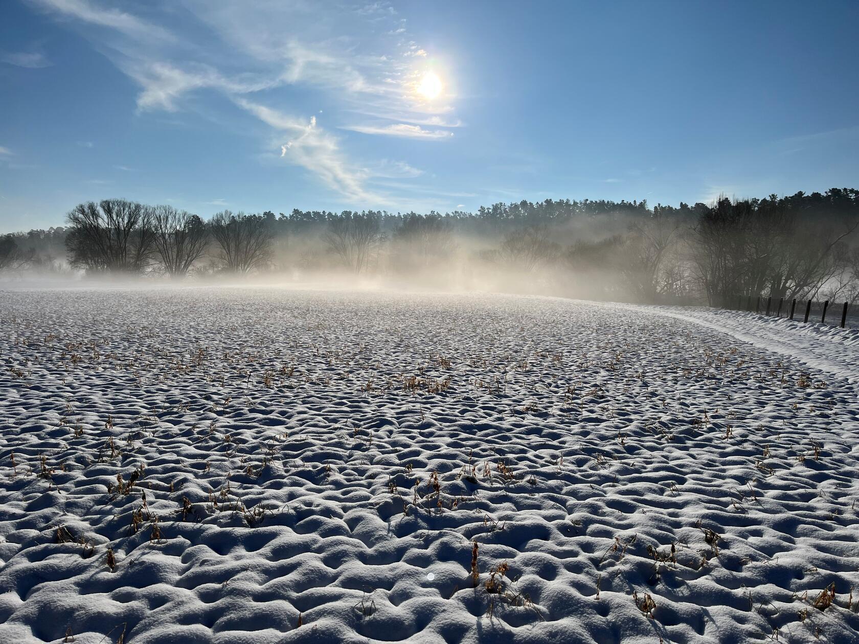 Der Schnee scheint richtiggehend zu (ver-)dampfen auf diesem Bild, das Isolde Krahle im Rednitzgrund aufgenommen hat.