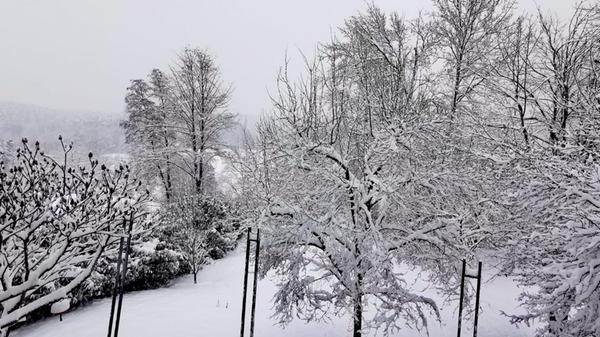 Und plötzlich ist die Welt rund um Roth mit einer dicken Schicht Puderzucker bedeckt - Ende Januar hat es über Nacht viel geschneit (hier in Unterheckenhofen).
