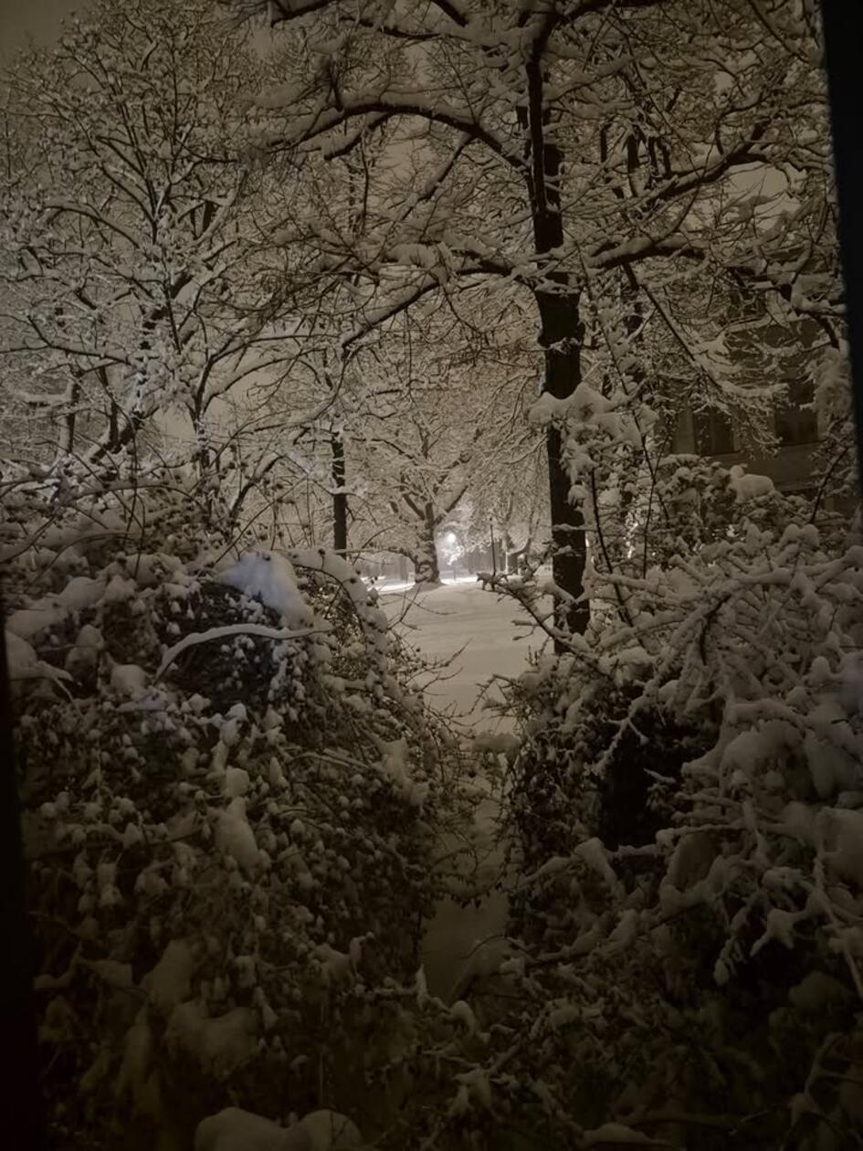 Unsere Leserin Sonya Wernicke hat dieses idyllische Foto geschickt.