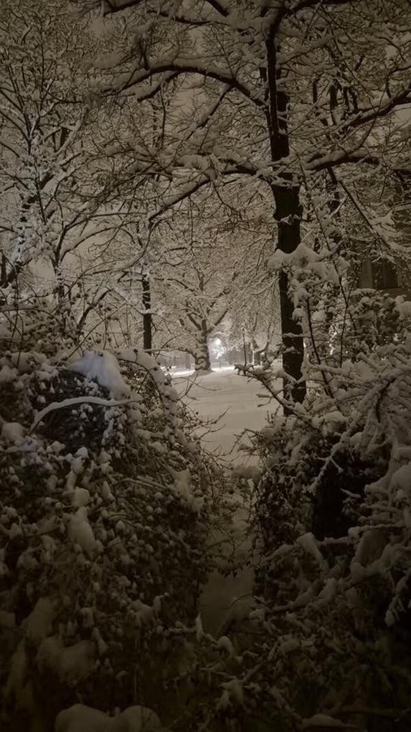 Unsere Leserin Sonya Wernicke hat dieses idyllische Foto geschickt.