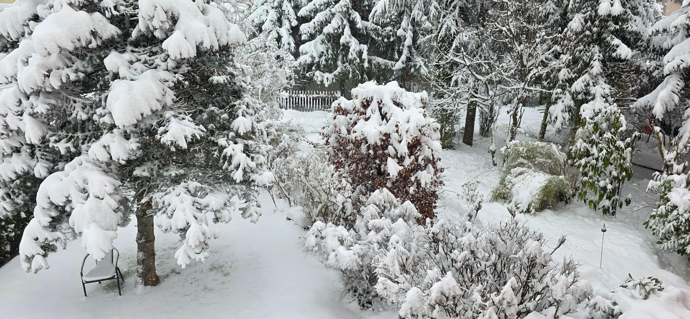 Unsere Leserin Susanne Seider hat diese Schneefotos vom Kennedy-Ring in Forchheim geschickt.