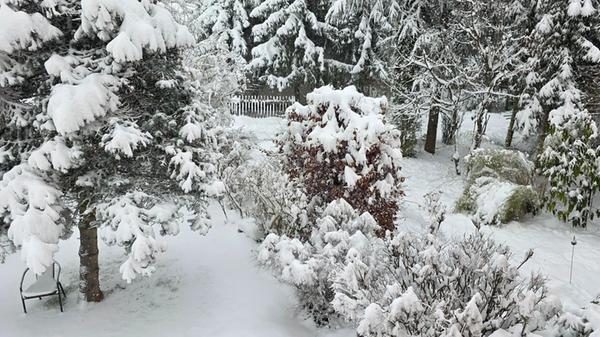 Unsere Leserin Susanne Seider hat diese Schneefotos vom Kennedy-Ring in Forchheim geschickt.