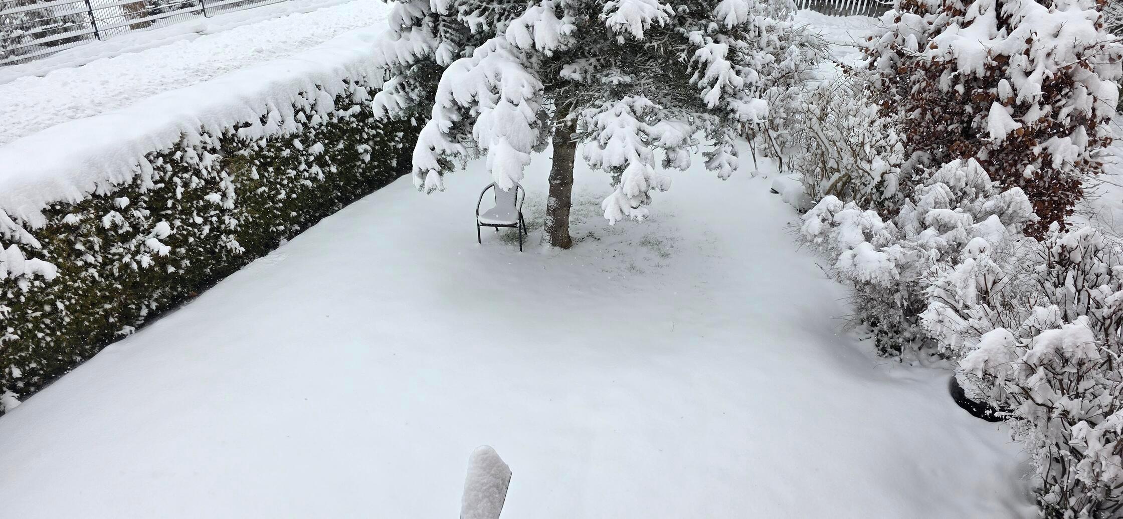 Unsere Leserin Susanne Seider hat diese Schneefotos vom Kennedy-Ring in Forchheim geschickt.
