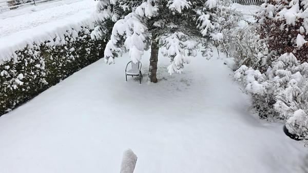 Unsere Leserin Susanne Seider hat diese Schneefotos vom Kennedy-Ring in Forchheim geschickt.