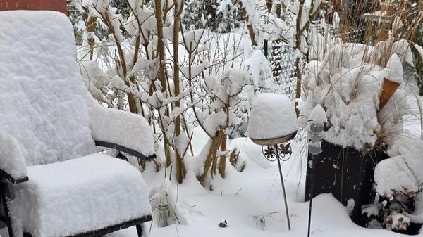 Unsere Leserin Susanne Seider hat diese Schneefotos vom Kennedy-Ring in Forchheim geschickt.