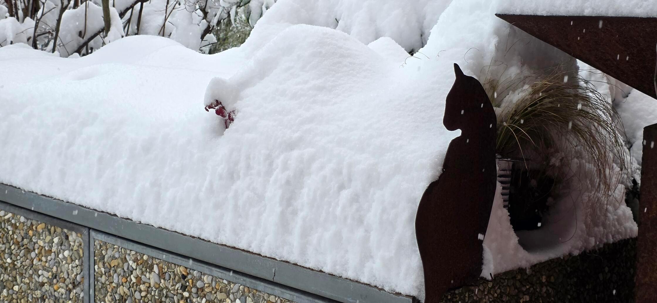 Unsere Leserin Susanne Seider hat diese Schneefotos vom Kennedy-Ring in Forchheim geschickt.