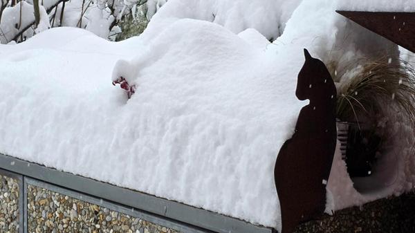 Unsere Leserin Susanne Seider hat diese Schneefotos vom Kennedy-Ring in Forchheim geschickt.