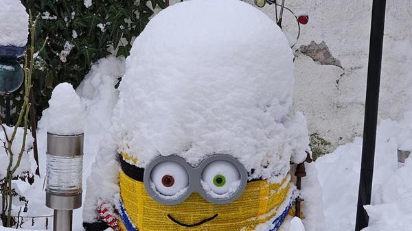 Und in diesem Garten versteckt sich ein Minion mit Schnee-Hut!