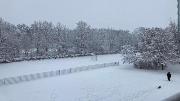 So weiß und voller Schnee, es lassen sich kaum noch die Umrisse in Erlangen am Europakanal erkennen.