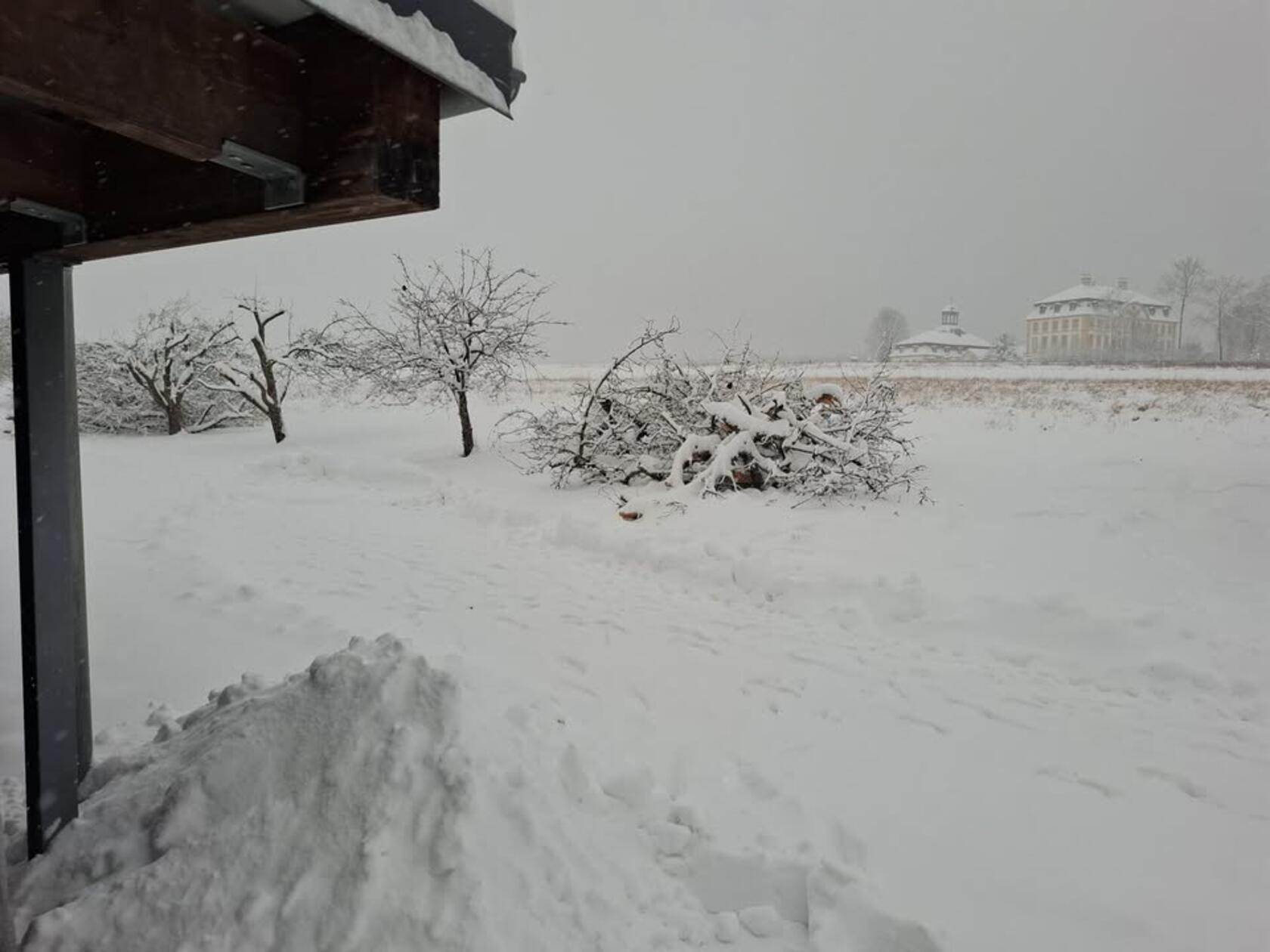 Unser Leser Ralf Mönius hat uns dieses Foto aus Bammersdorf geschickt.