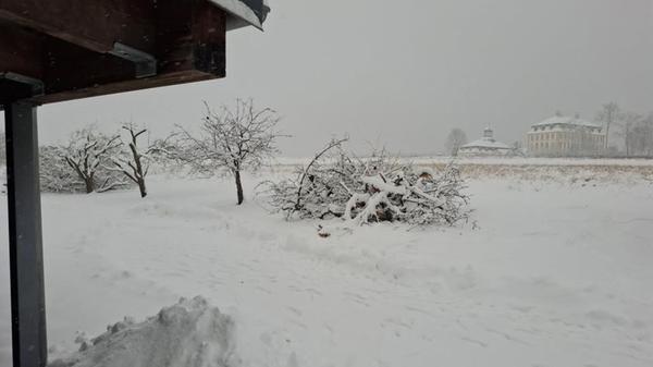 Unser Leser Ralf Mönius hat uns dieses Foto aus Bammersdorf geschickt.