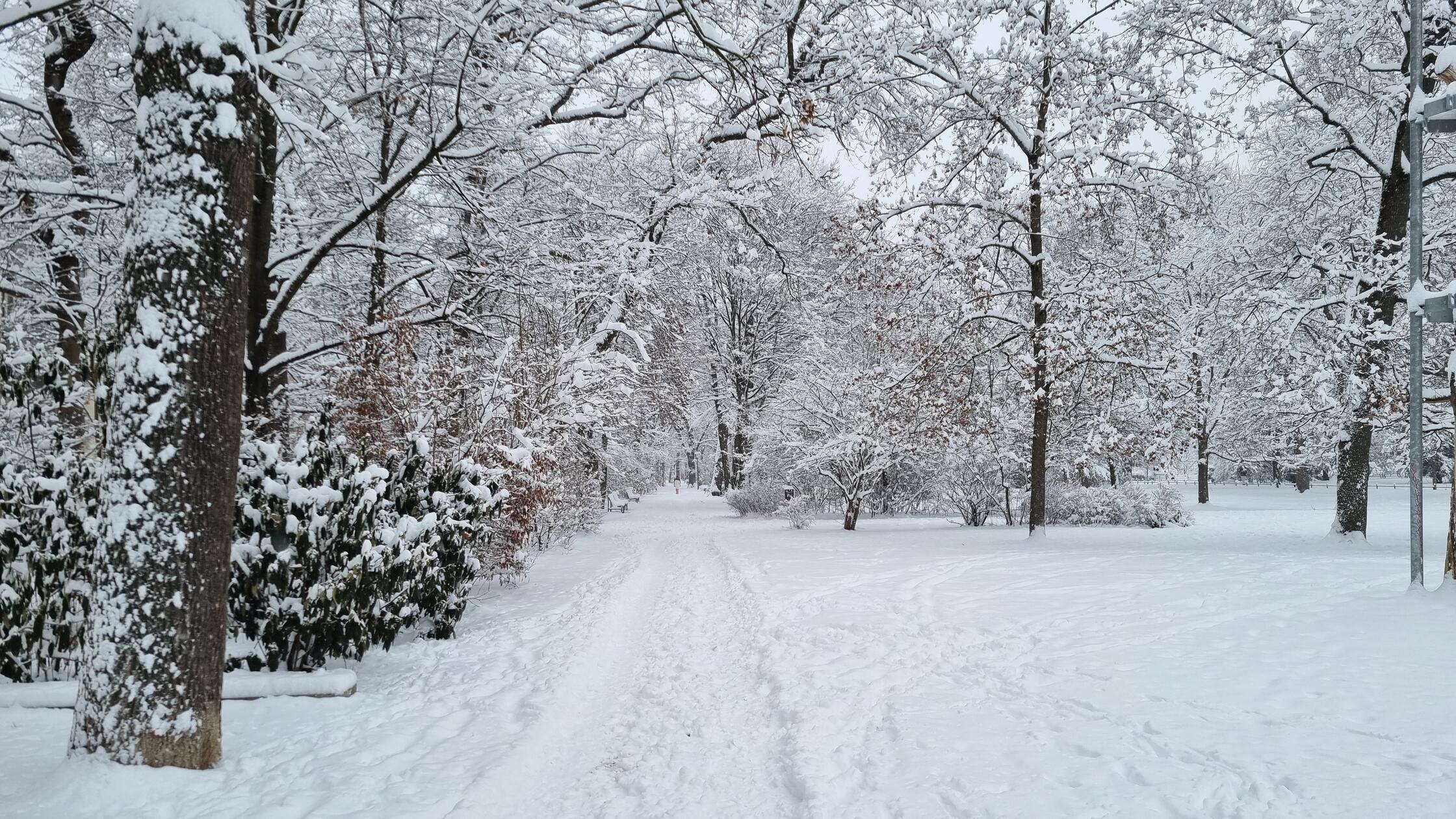 Im Stadtpark sind noch nicht alle Wege geräumt. Die Besucher haben ihre Spuren im Schnee hinterlassen.