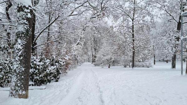 Im Stadtpark sind noch nicht alle Wege geräumt. Die Besucher haben ihre Spuren im Schnee hinterlassen.