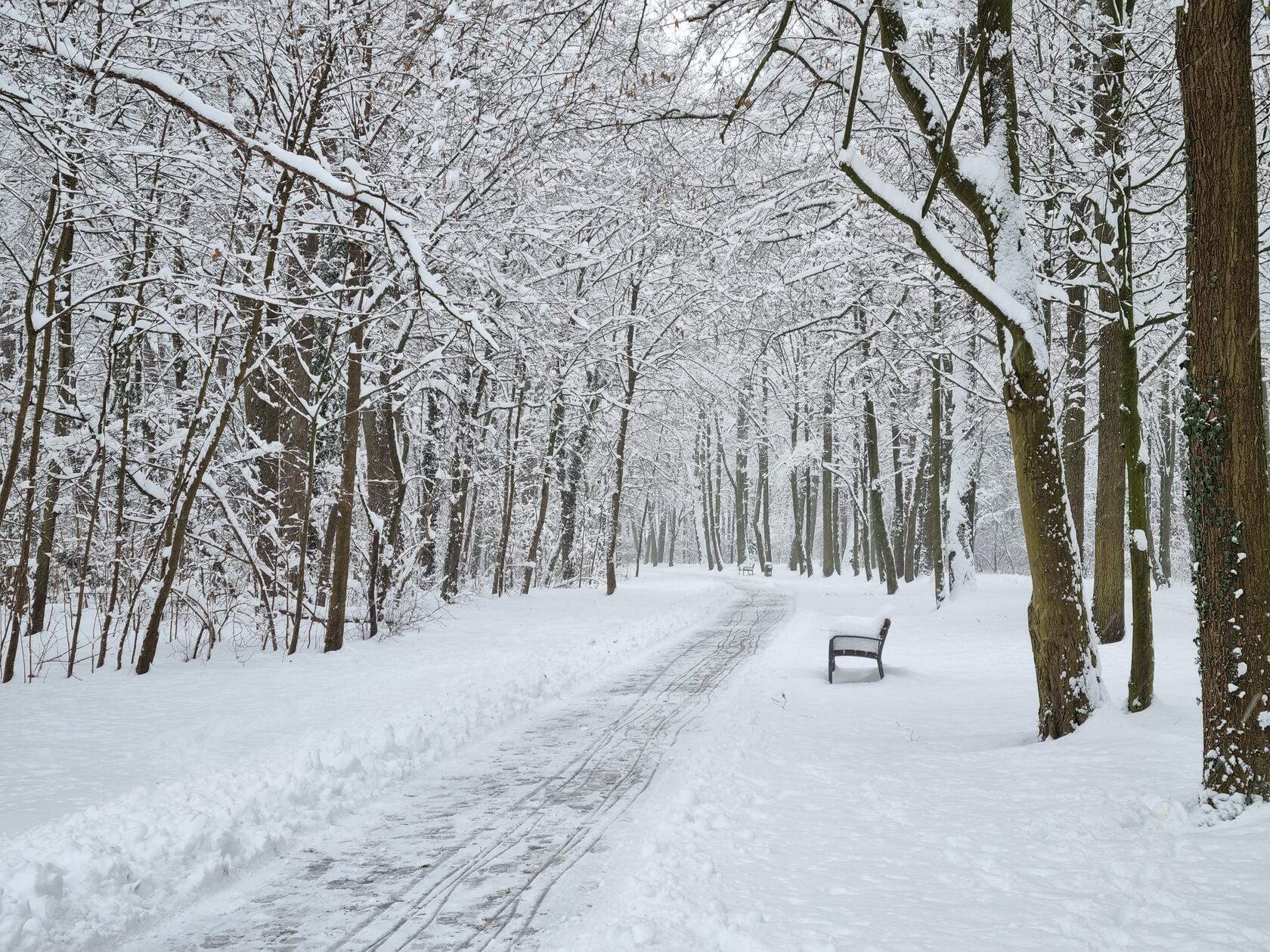 Die Hauptwege sind geräumt. Allerdings müssen Fußgänger jederzeit damit rechnen, von herabfallendem Schnee von Bäumen getroffen zu werden. Mütze oder Kapuze aufziehen ist also ratsam.