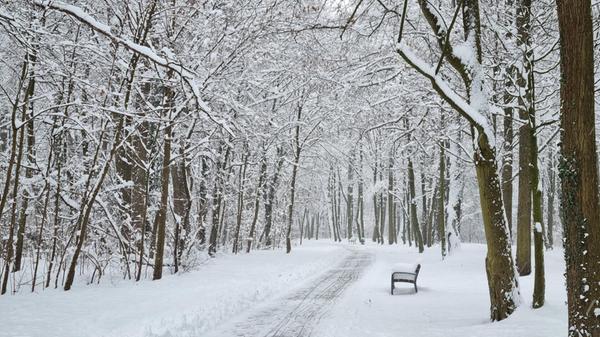 Die Hauptwege sind geräumt. Allerdings müssen Fußgänger jederzeit damit rechnen, von herabfallendem Schnee von Bäumen getroffen zu werden. Mütze oder Kapuze aufziehen ist also ratsam.