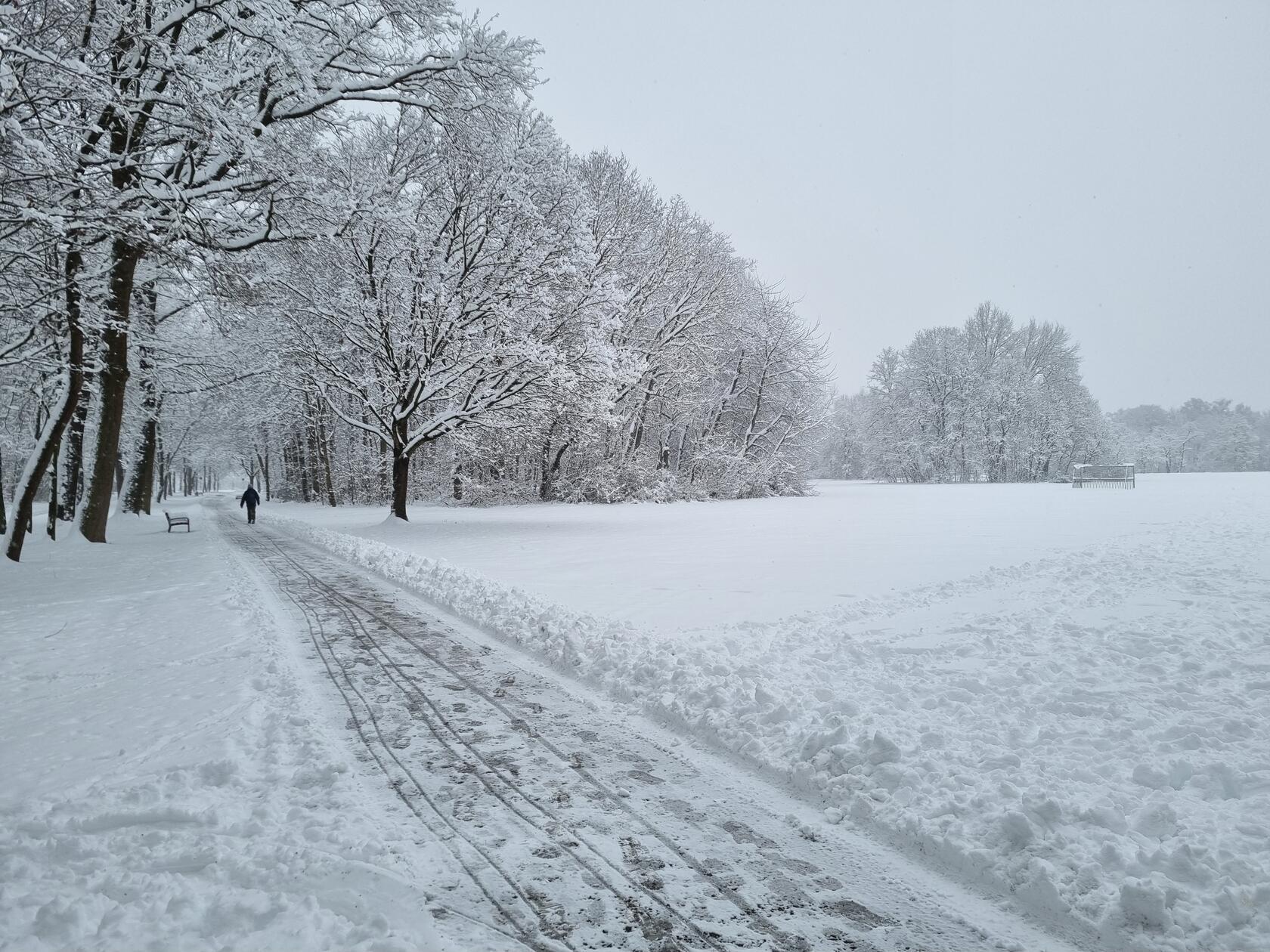 15 bis 20 Zentimeter türmt sich der Schnee am Rand des geräumten Wegs im Marienbergpark.