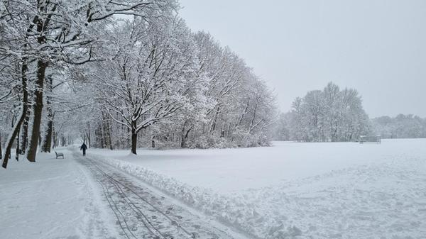 15 bis 20 Zentimeter türmt sich der Schnee am Rand des geräumten Wegs im Marienbergpark.