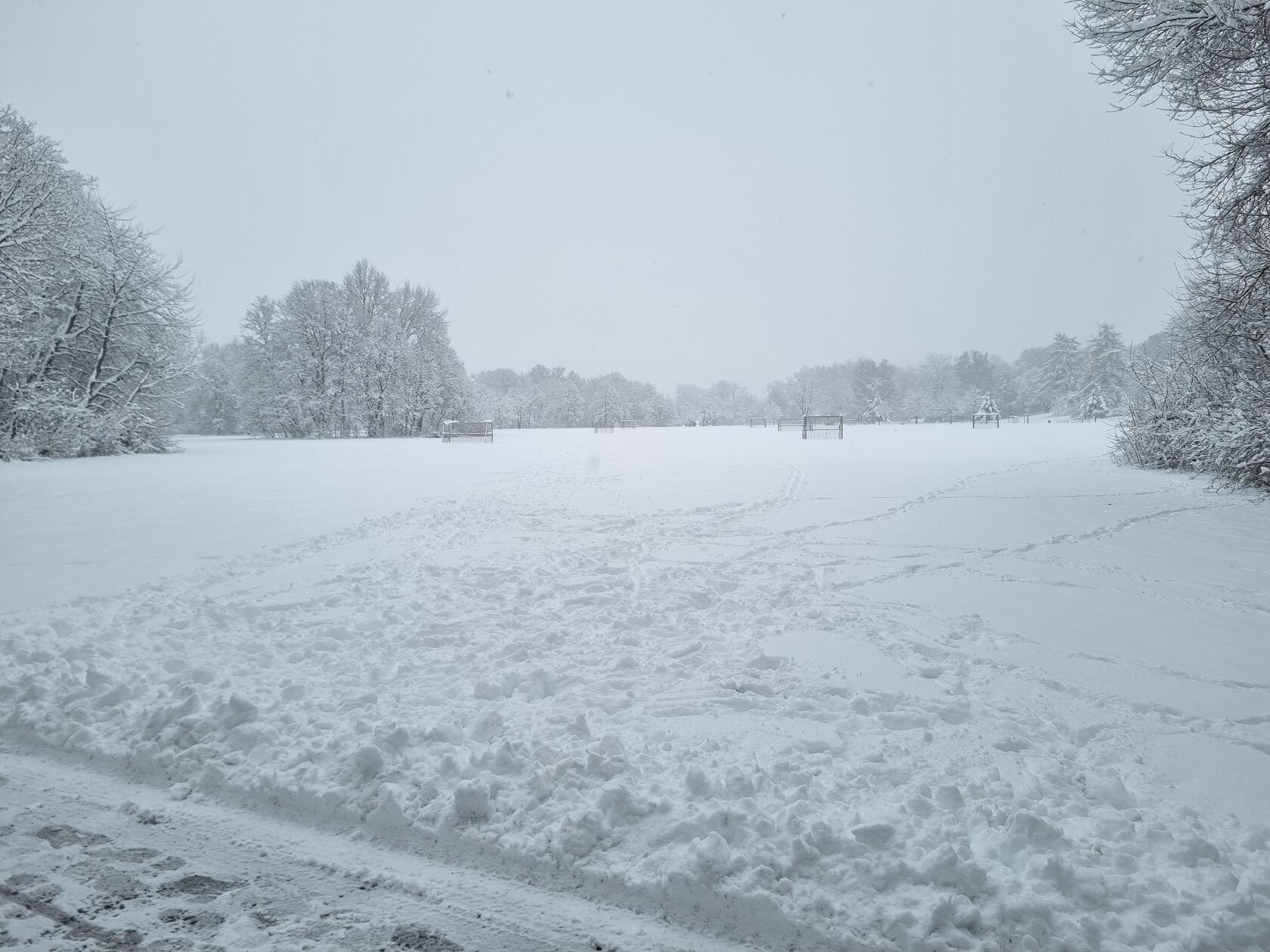 Auf dieser Wiese sind heute wohl eher keine Fußballspieler anzutreffen. Die ersten Langläufer waren dafür schon unterwegs.