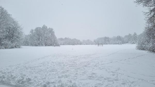 Auf dieser Wiese sind heute wohl eher keine Fußballspieler anzutreffen. Die ersten Langläufer waren dafür schon unterwegs.