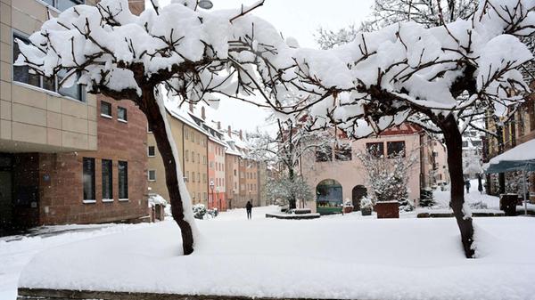 Baumkronen aus Schnee.