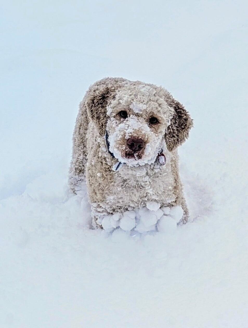 In Neumarkt und Umgebung liegt Schnee so weit das Auge reicht.
