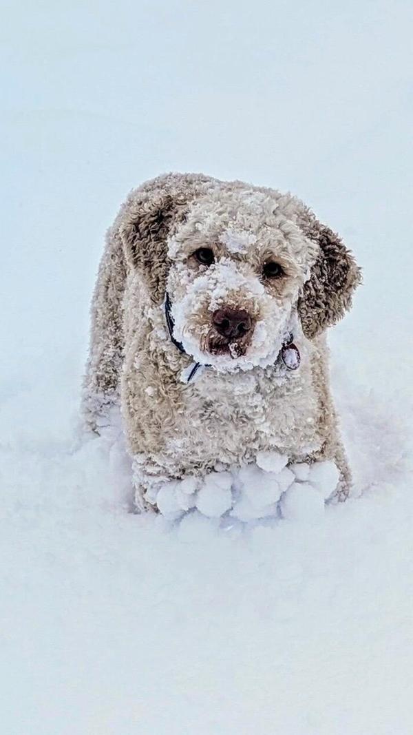 In Neumarkt und Umgebung liegt Schnee so weit das Auge reicht.
