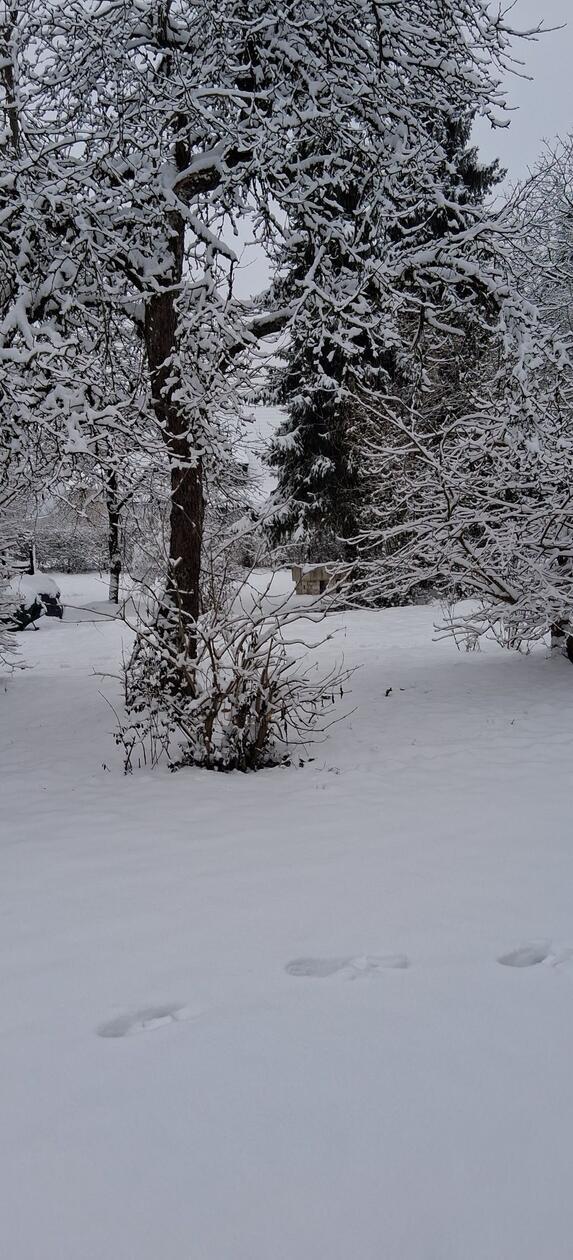 In Neumarkt und Umgebung liegt Schnee so weit das Auge reicht.