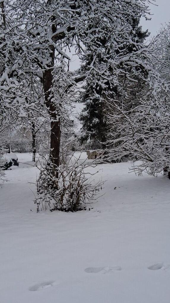 In Neumarkt und Umgebung liegt Schnee so weit das Auge reicht.