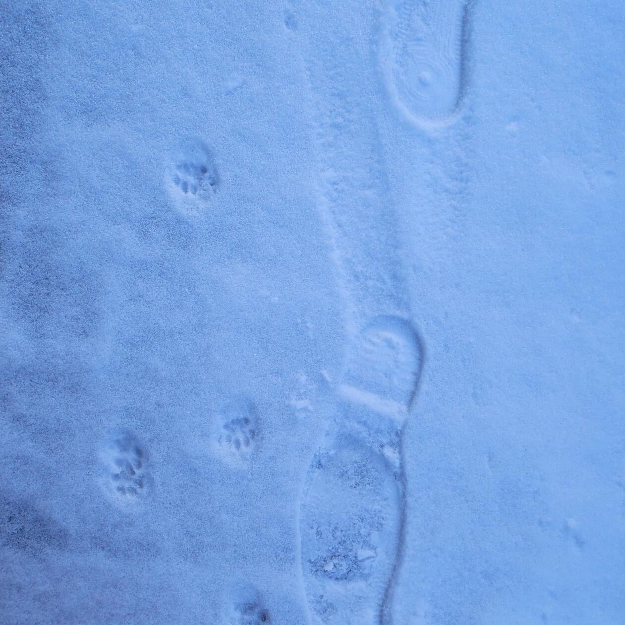 In Neumarkt und Umgebung liegt Schnee so weit das Auge reicht.