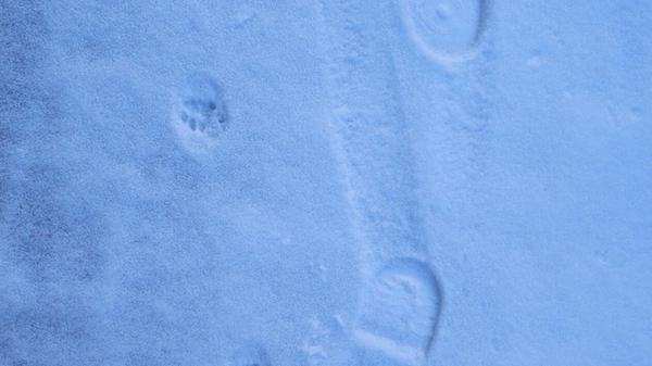 In Neumarkt und Umgebung liegt Schnee so weit das Auge reicht.