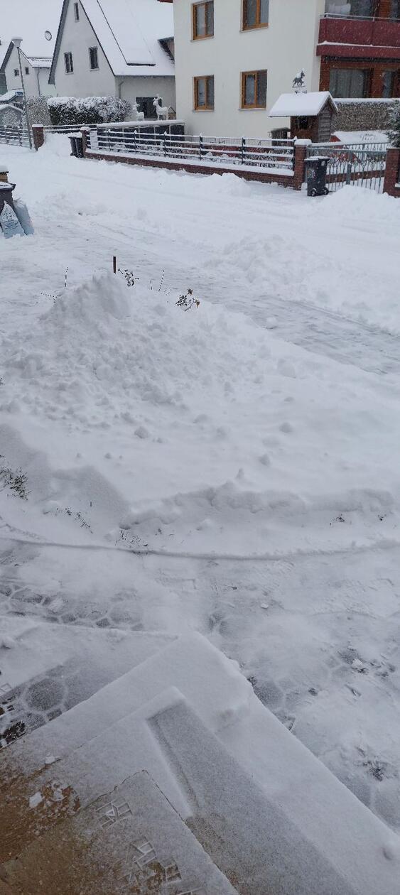 In Neumarkt und Umgebung liegt Schnee so weit das Auge reicht.