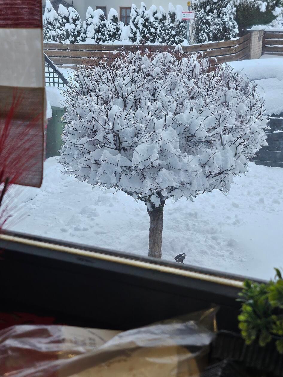 In Neumarkt und Umgebung liegt Schnee so weit das Auge reicht.