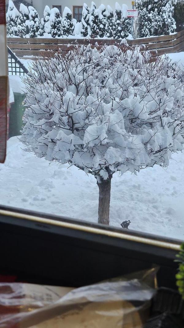 In Neumarkt und Umgebung liegt Schnee so weit das Auge reicht.