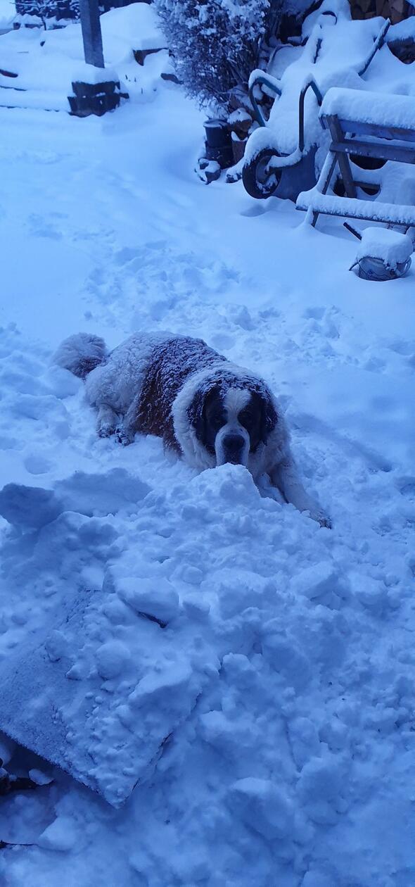 In Neumarkt und Umgebung liegt Schnee so weit das Auge reicht.