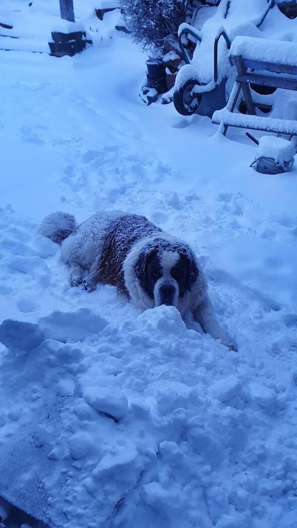In Neumarkt und Umgebung liegt Schnee so weit das Auge reicht.